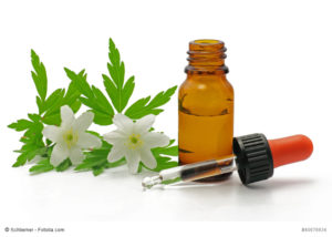 Cannabis Apotheke